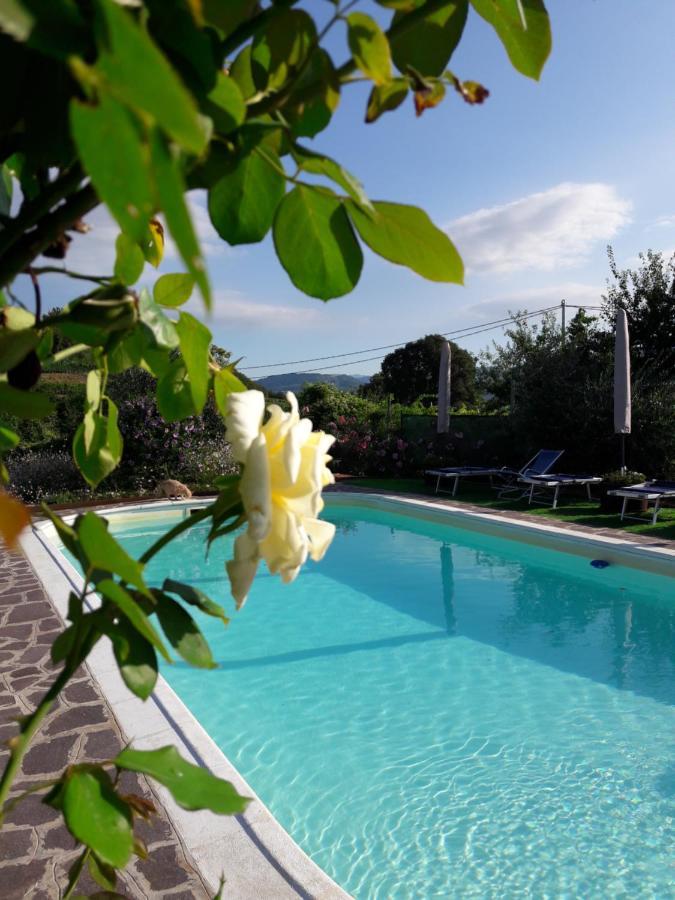 Corte Soave Montecchia di Crosara 外观 照片